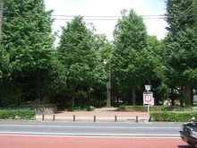 【東京都/北区西ケ原】東京都北区西ヶ原　売地 滝野川公園（現地より約400m）