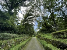 【東京都/町田市下小山田町】町田市下小山田町　建築条件付き土地　4区画／全4区画 都立小山田緑地（現地より約200m）：
