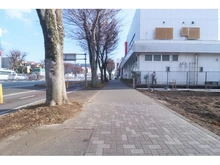 【神奈川県/相模原市中央区清新】清新3丁目　事業用地 前面道路