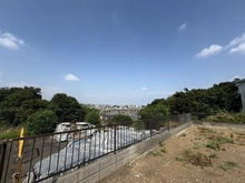 【神奈川県/横浜市神奈川区三ツ沢上町】神奈川区三ッ沢上町　土地 眺望
