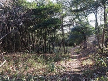 【神奈川県/横浜市保土ケ谷区今井町】横浜市保土ヶ谷区今井町売地 現地