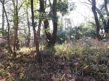 【神奈川県/横浜市保土ケ谷区今井町】横浜市保土ヶ谷区今井町売地 現地