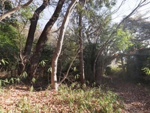 【神奈川県/横浜市保土ケ谷区今井町】横浜市保土ヶ谷区今井町売地 現地