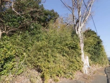 【神奈川県/横浜市保土ケ谷区今井町】横浜市保土ヶ谷区今井町売地 現地