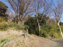 【神奈川県/横浜市保土ケ谷区今井町】横浜市保土ヶ谷区今井町売地 現地