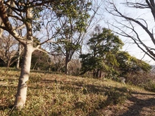 【神奈川県/横浜市保土ケ谷区今井町】横浜市保土ヶ谷区今井町売地 現地