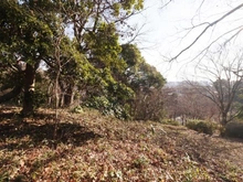 【神奈川県/横浜市保土ケ谷区今井町】横浜市保土ヶ谷区今井町売地 現地