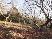 【神奈川県/横浜市保土ケ谷区今井町】横浜市保土ヶ谷区今井町売地 現地