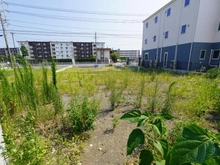 【神奈川県/藤沢市辻堂】藤沢市辻堂6丁目 土地 A区画 現地