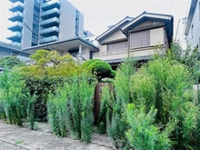 【東京都/目黒区自由が丘】目黒区自由が丘3丁目売地 現地（古家あり）