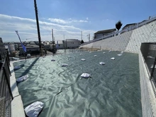 【神奈川県/川崎市麻生区千代ケ丘】川崎市麻生区千代ケ丘8丁目　4区画 現地