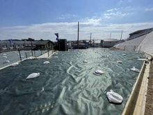 【神奈川県/川崎市麻生区千代ケ丘】川崎市麻生区千代ケ丘8丁目　5区画 現地：全10区画