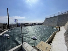 【神奈川県/川崎市麻生区千代ケ丘】川崎市麻生区千代ケ丘8丁目　9区画 現地：全10区画