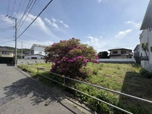 【神奈川県/逗子市逗子】逗子市逗子6丁目　　土地 現地
