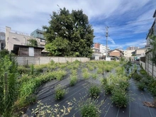 【東京都/杉並区松庵】杉並区松庵3丁目土地　No.1 現地