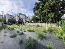 【東京都/杉並区松庵】杉並区松庵3丁目土地　No.2 現地