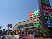 【東京都/世田谷区成城】世田谷区成城9丁目　売地C区画 サミットストア成城店（現地より約2,500m）
