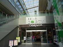 【東京都/世田谷区成城】世田谷区成城9丁目　売地C区画 小田急OX成城店（現地より約1,500m）