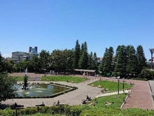 【東京都/目黒区東山】目黒区東山1丁目売地 世田谷公園（現地より約1,100m）：