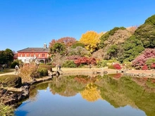 【東京都/文京区千石】文京区千石4丁目　売地 小石川植物園（現地より約1,360m）