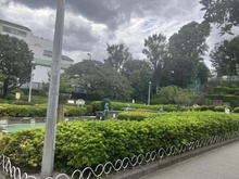 【東京都/文京区小石川】文京区小石川2丁目　売地 文京区立礫川公園（現地より約280m）