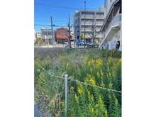 【東京都/足立区西保木間】西保木間3丁目土地 現地