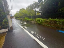 【東京都/大田区田園調布南】田園調布南土地 前面道路