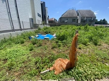 【東京都/大田区南馬込】大田区南馬込5丁目 土地 現地