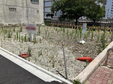 【愛知県/名古屋市中村区名駅南】名古屋市　中村区名駅南1丁目 土地 現地