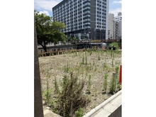 【愛知県/名古屋市中村区名駅南】名古屋市　中村区名駅南1丁目 土地 現地