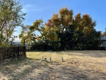 【東京都/大田区田園調布】田園調布4丁目 土地 現地