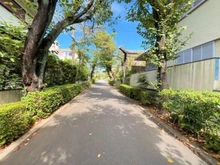 【神奈川県/川崎市麻生区王禅寺東】川崎市麻生区王禅寺東2丁目 土地 【現地前面道路２０２５年１０月撮影】