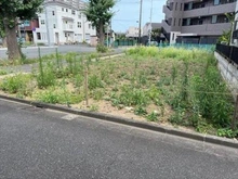 【神奈川県/川崎市中原区市ノ坪】川崎市中原区市ノ坪 土地 現地（１～３区画全体）