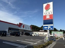 【千葉県/柏市高田】柏市高田土地 ドラックストアセキ柏高田店　徒歩４分（約２９０ｍ）