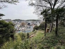 【神奈川県/横浜市中区山手町】横浜市中区山手町 現地からの眺望写真