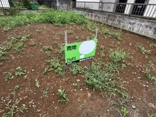 【千葉県/千葉市中央区松波】千葉市中央区松波3丁目 土地 現地：建物外観