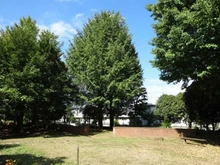 【東京都/小金井市前原町】東京都小金井市前原町5丁目 土地 イチョウ公園（現地より約85m）：