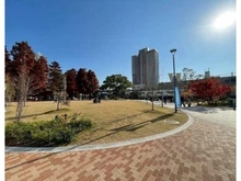 【兵庫県/尼崎市東難波町】兵庫県尼崎市東難波町4丁目 土地 尼崎セントラルパーク／約930m