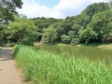 【千葉県/市川市国府台】市川市国府台1丁目 土地 