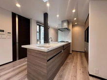 【東京都/世田谷区東玉川】世田谷区東玉川1丁目 中古一戸建て キッチン