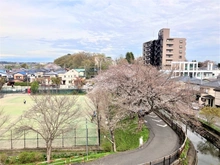 【埼玉県/さいたま市浦和区上木崎】さいたま市浦和区上木崎7丁目　A号棟 眺望