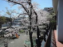 【神奈川県/横浜市南区永田北】横浜市南区永田北2丁目　戸建 眺望