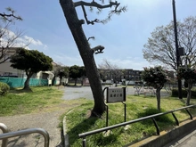【神奈川県/藤沢市鵠沼海岸】藤沢市鵠沼海岸3丁目　戸建 高根公園（現地より約500m）