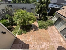 【東京都/中野区江古田】中野区江古田1丁目　中古戸建 庭