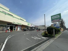 【東京都/調布市佐須町】佐須町五丁目　戸建 コープみらい コープ柴崎店（現地より約320m）：