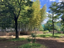 【東京都/杉並区宮前】杉並区宮前1丁目　中古戸建 宮前公園（現地より約410m）