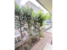 【東京都/練馬区関町南】練馬区関町南4丁目　中古戸建 庭