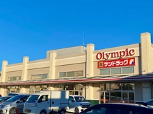 【東京都/小平市上水南町】グローイングスクエア小平上水南町 オリンピック小金井店（現地より約900m）