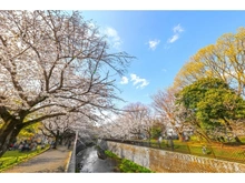 【東京都/世田谷区祖師谷】祖師谷4丁目新築戸建A号棟 祖師谷公園（現地より約800m）