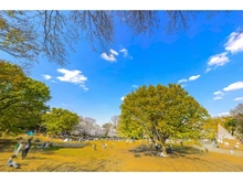 【東京都/世田谷区祖師谷】祖師谷4丁目新築戸建A号棟 祖師谷公園（現地より約800m）